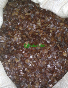 jual biji johar
