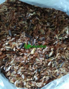 jual biji suren