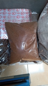 jual biji kayu putih